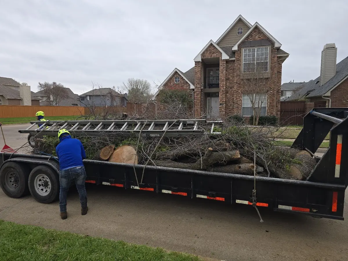 Expert Crown Reduction with proper safety equipment in Eagle Grove